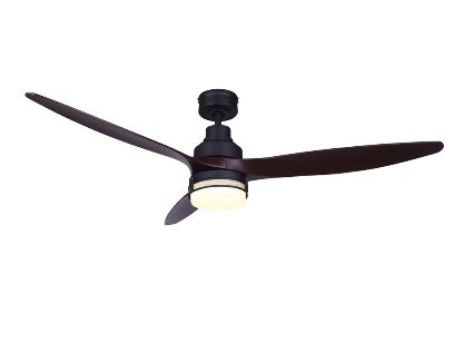 Hollyn Ceiling Fan